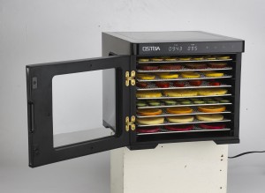 Matdehydrator GGJ-801